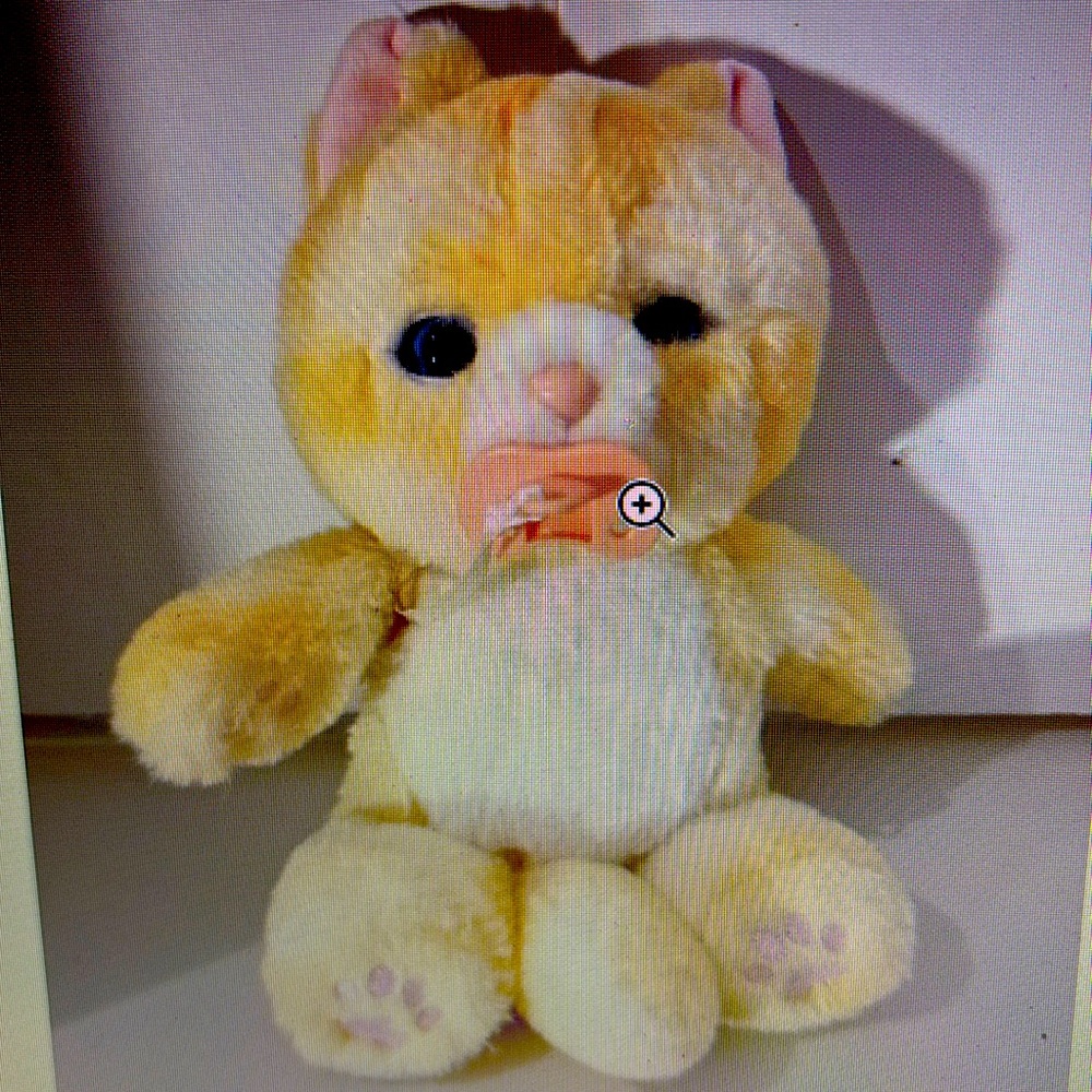 Little live cozy dozys ginger the cat